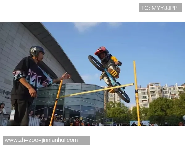 西安极限运动队心理素质分析及其对竞技表现的影响研究 西安极限运动队心理素质分析及其对竞技表现的影响研究