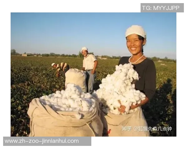 用棉花制作足球的创意探索与环保意义分析 用棉花制作足球的创意探索与环保意义分析